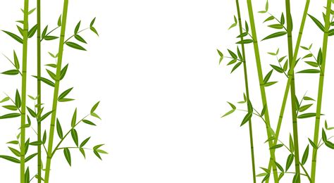 Illustration vectorielle de l arrière plan du modèle bambou vert