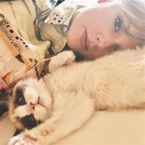 All About Taylor Swifts Cats Meredith Grey Olivia Benson And