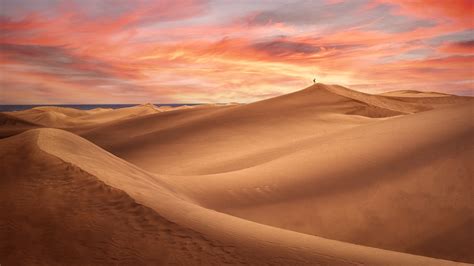 Desert Wallpaper 4k Sand Dunes Alone Sunset Evening 5k Nature 5417