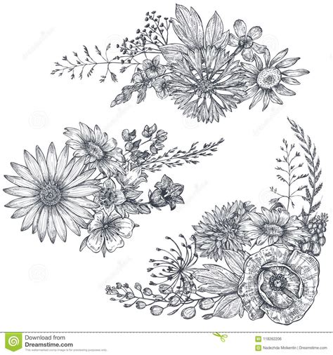 A hand drawn colored pencil drawing by laurie rohner of daisies berries wildflowers and garden flowers are depicted in this original botanical nature this original drawing is currently for sale. Vector Floral Bouquets With Herbs And Wildflowers. Stock ...