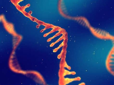Genoma Umano 1 Milione Di Sequenziamenti Aprirà Le Porte Della Genetica