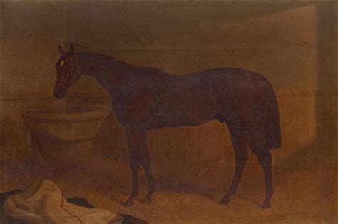 John Frederick Herring Sr Portrait Of A Chesnut Horse With White