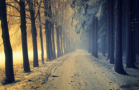 4000x3000 Winter Snow Cold Road Trees Wallpaper Coolwallpapersme