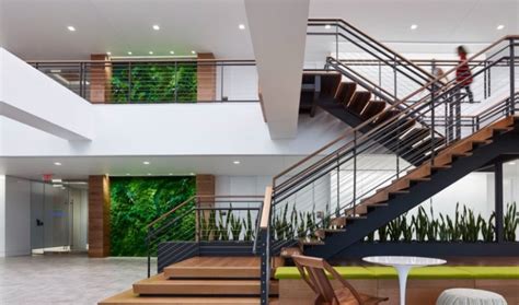 Biophilic Design Incorporating Greenery Into The Workplace