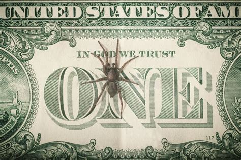 A Spider Crawls On A One Dollar Bill Stock Photo Image Of Banking