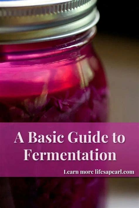 Video shows what malolactic fermentation means. Pin by Rebecca Swain on Fermentation Experiments in 2020 ...