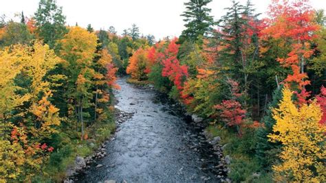 Michigans Fall Colors When Will The Foliage Peak