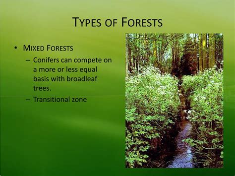 Ppt Forestry Powerpoint Presentation Free Download Id4229853