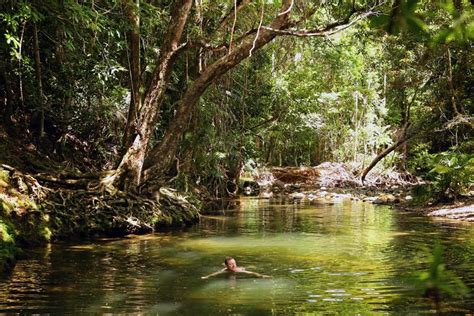 Masons Swimming Hole Daintree QLD Travel Around The Country