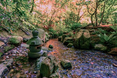 Autumn In Traditional Japanese Garden Photograph By Viktor Birkus Pixels