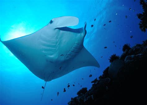 Australian Geographic Travel