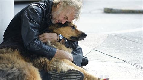 8 Reasons Homeless People Deserve To Have Dogs Huffpost