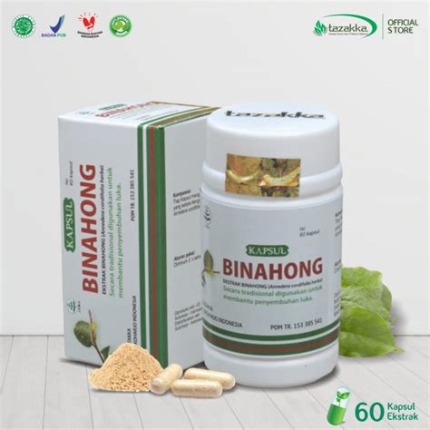 Teh celup daun binahong darusyifa. Jual Kapsul Binahong Obat Penyembuh Luka Pasca Operasi ...
