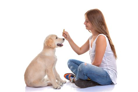 Discover the #bestapps that will help you best achieve your life goals. Well-Trained or Well-Behaved? | All Things Pups®