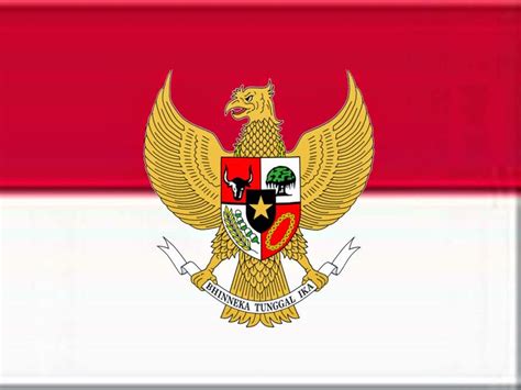 Selain burung hantu, jenis burung yang cukup populer terutama di indonesia adalah burung garuda. Mewarnai Burung Garuda Pancasila - GAMBAR MEWARNAI HD