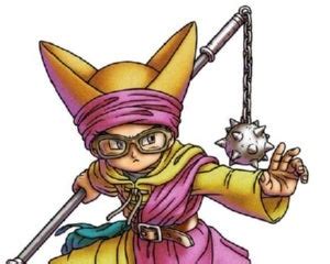 Dragon Quest Warrior Wiki Animexx De