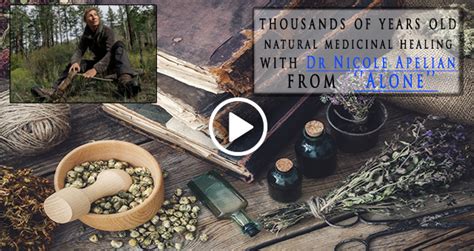 12 Wild Medicinal Plants You Should Harvest This Fall Bio Prepper