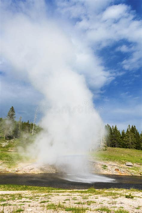 Riverside Geyser Stock Photo Image Of Explode Thermal 69237166