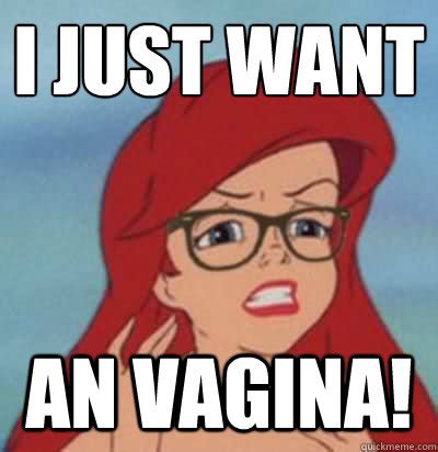 I Just Want An Vagina Hipster Ariel Quickmeme