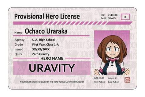 Provisional Hero Licenses In 2020 Hero My Hero Academia Manga My