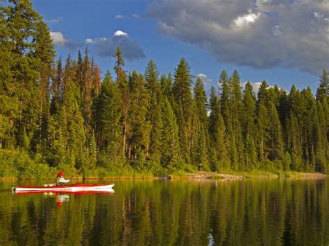 Sea Kayaking On Rainy Lake In The Lolo National Forest Montana Usa