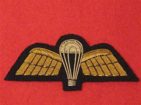 Number 1 Dress Parachute Trained Wings Gold On Black Badge Hill