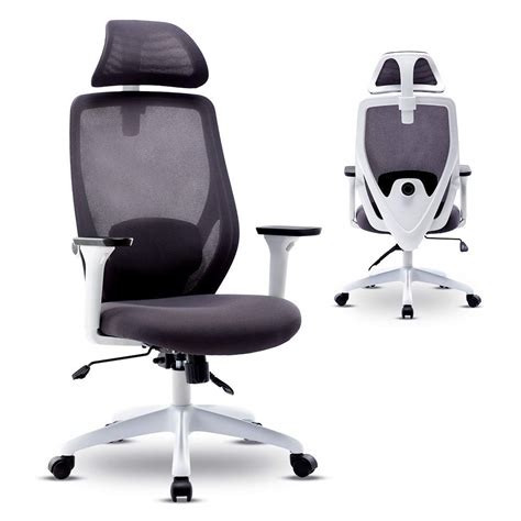 Buy Bonzy Home Ergonomic Office Chairhigh Back Mesh Computer Chair With Lumbar Support And