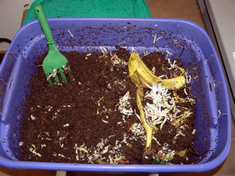 Diy Worm Composting Bin The Garden