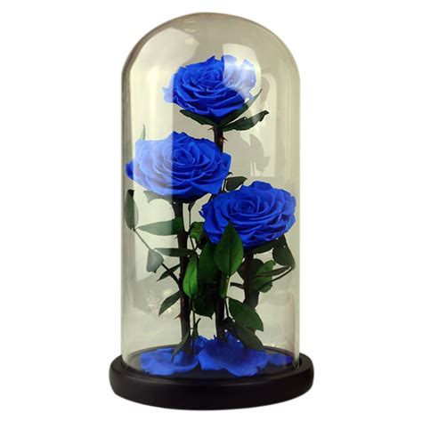 See more ideas about floral preservation, glass domes, bouquet preservation. KSFS Eternal Flowers Dried Flowers Preserved Fresh Blue ...