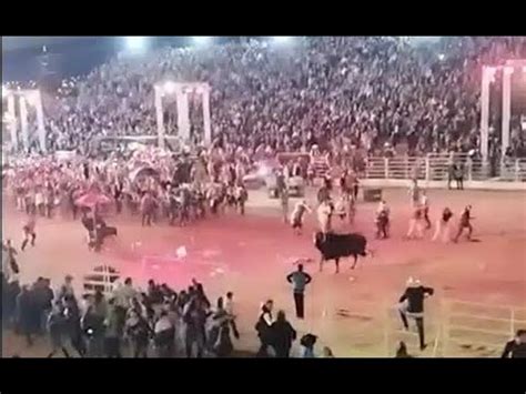 Touro Invade Arena De Rodeio E Deixa Feridos Em Show Da Ana Castela