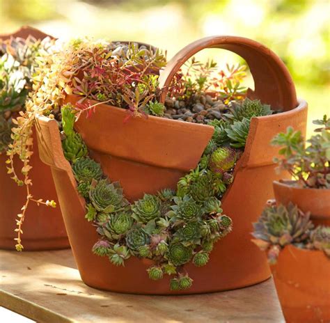 How To Plant A Cracked Pot Succulent Garden