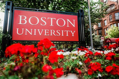 Boston University Biomedical Engineering Faculty
