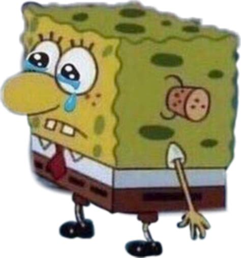 0 Result Images Of Spongebob Crying Meme Png Png Image Collection