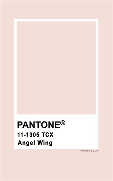 Pantone Angel Wing Pantone Pantone Colour Palettes Pantone Color Chart Pantone