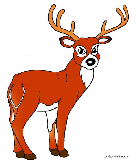 Free Whitetail Deer Cliparts Download Free Whitetail Deer Cliparts Png