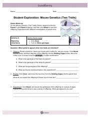 Make sure that students bubble in their answers for the front. 5-1MouseGenetics2SE - Student Exploration Mouse Genetics(Two Traits Vocabulary allele genotype ...