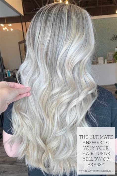 After freshly dyeing your hair, the first thought that probably crosses your mind is how great it looks—quickly followed by the dreaded notion that your new hair color could one day fade, or even become brassy. The ultimate answer to why blonde hair turns yellow or ...
