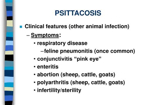 Pink eye in cattle can clear up on its own eventually. PPT - PSITTACOSIS PowerPoint Presentation - ID:61507