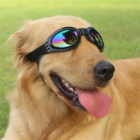 Fashion Pet Dog Sunglasses Medium Large Dog Glasses Big Pet Eyewear