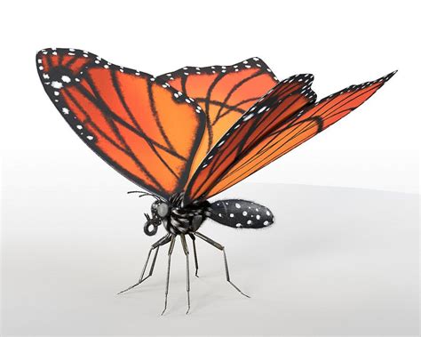 78 Amazing Butterfly 3d Model Rigged Free Mockup