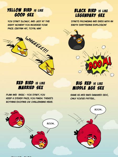 Angry Birds Infographics Visually