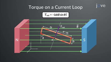 Torque On A Current Loop In A Magnetic Field Concept Physics Jove