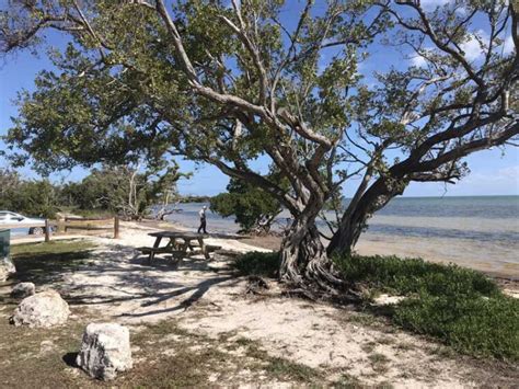 Long Key State Park Florida Keys Gem Damaged By Hurricanes