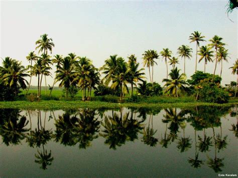 Kerala Nature Desktop Wallpaper