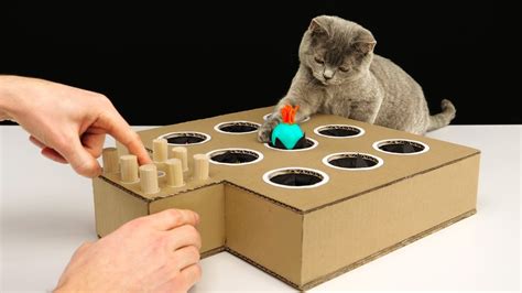 Diy Cat Toy Whack A Mole From Cardboard Adew Pets Centre