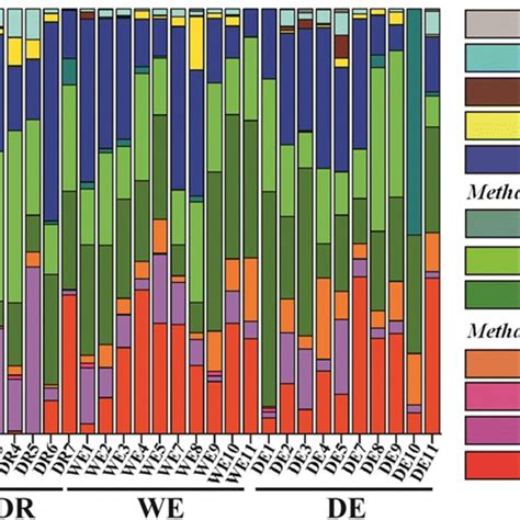 Relative Abundance Of Methanogenic Taxa Based On McrA Gene Sequences