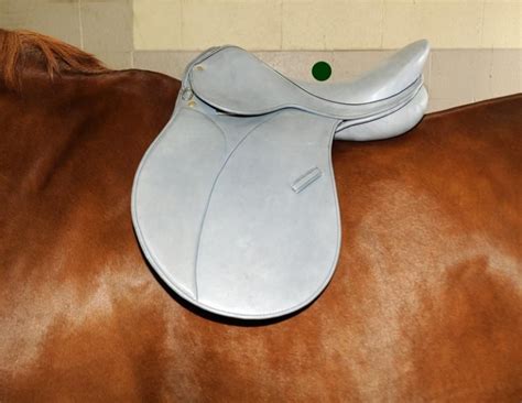 9 Point Saddle Fit Jochen Schleese Proper Horse Saddle Fitting