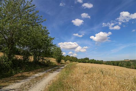 Summer Landscape With Blue Sky And White Clouds Stock Image Image Of