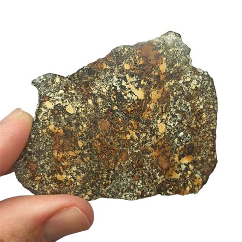 Nuovo Mont Tessalit 001 Eucrite Meteorite Acondrite Da Catawiki