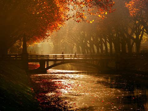 Images Germany Autumn Bridges Rivers Cities 600x450